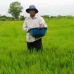 Anh Phúc 