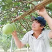 Anh Nam 