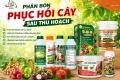 Phân bón phục hồi cây sau thu hoạch