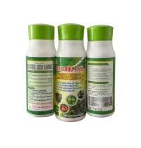  AGRORMAX LUCKY BAMBOO – SIÊU ĐẬU TRÁI