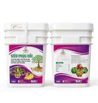 SIÊU PHỤC HỒI 
