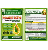 BACTE MAGIE BO – MAGIE KẼM