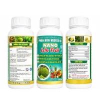VASEED 66 NANO LỚN TRÁI