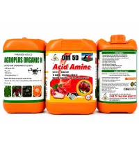OM 50 ACID AMINE – LỚN TRÁI, BÓNG TRÁI