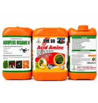  OM 50 ACID AMINE – LỚN TRÁI NHANH, TRÒN ĐỀU TRÁI