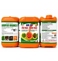  OM 50 – PHÌ TRÁI, TRÒN TRÁI - mới