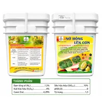 Nở hông lên cơm - Cố định đạm, chuyển hóa Kali