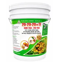 20-20-20 + TE | NUÔI TRÁI – PHÌ TRÁI