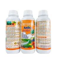 AMINO RONG BIỂN – LAGROBEST SEAWEED PLUS