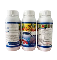 AMINO ACID 