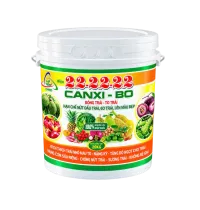 CANXI BO - Bóng trái, to trái