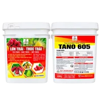  TANO 605 - LỚN TRÁI – THÚC TRÁI | TO TRÁI – DÀI TRÁI – ĐỎ TRÁI