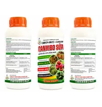 CANXIBO SỮA – HỖ TRỢ GIỮ HOA – GIỮ TRÁI | HẠN CHẾ NỨT, THỐI TRÁI | GIÚP TRÁI CỨNG, ĐẸP