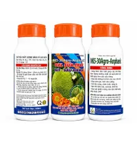  NK5-30AGRO-ANPHANK GEL SỮA TRÁI