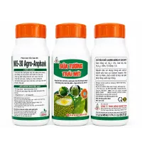  SỮA TƯỚNG TRÁI MÍT – 500ML