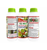SIÊU KÍCH RA HOA – ĐÁNH THỨC NIÊN TRẠNG