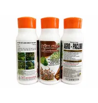ĐỆM MẦM PHÁ MIÊN TRẠNG – AGRO-PACLOBO