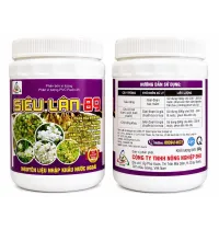  SIÊU LÂN 89 – PHÂN HÓA MẦM HOA