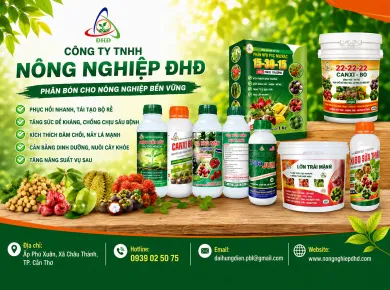 Công Ty TNHH Nông Nghiệp ĐHĐ - Đánh Giá & Giải Pháp Thay Thế | NÔNG NGHIỆP ĐHĐ