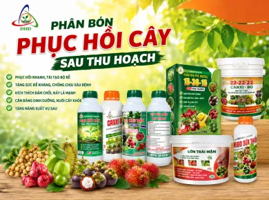 Phân bón phục hồi cây sau thu hoạch