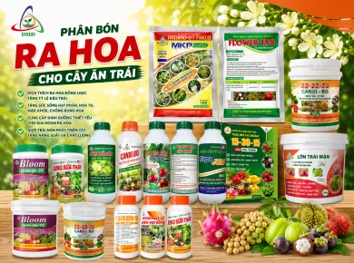 Phân bón ra hoa cho cây ăn trái