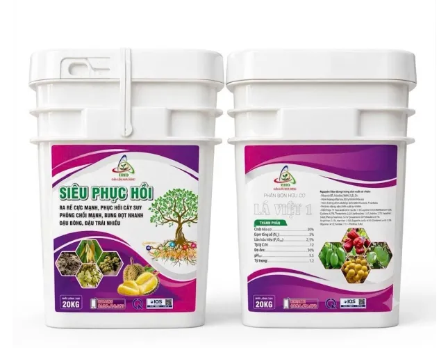 SIÊU PHỤC HỒI 