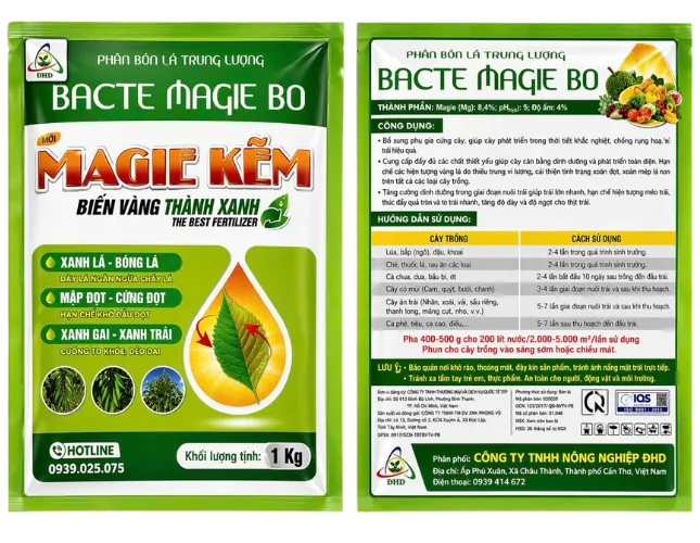 BACTE MAGIE BO – MAGIE KẼM
