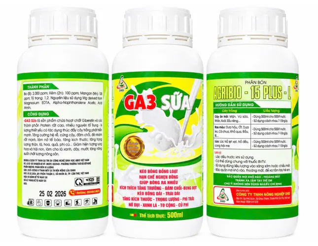 GA3 SỮA
