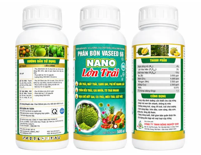 VASEED 66 NANO LỚN TRÁI
