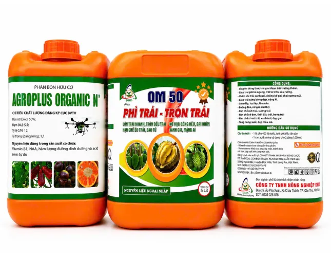 OM 50 – PHÌ TRÁI, TRÒN TRÁI