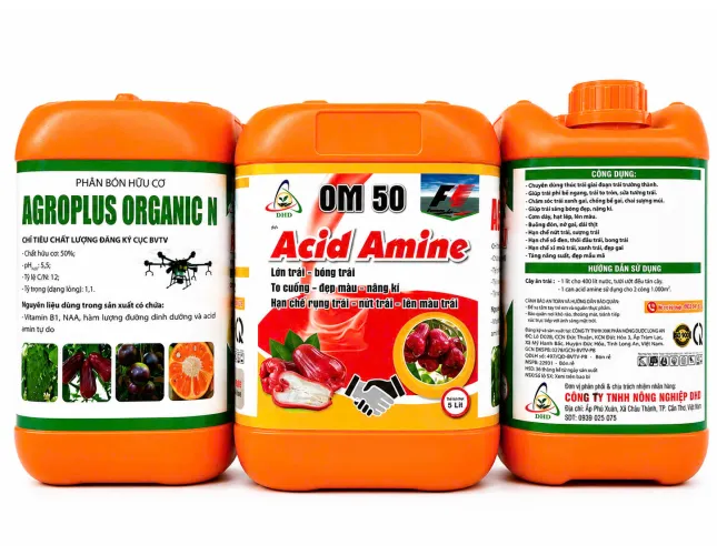 OM 50 ACID AMINE – LỚN TRÁI, BÓNG TRÁI