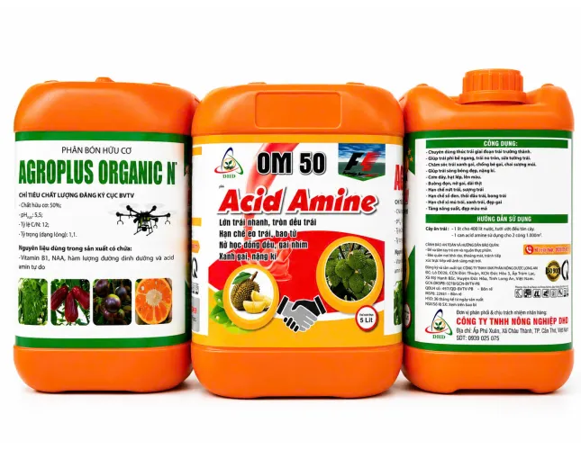  OM 50 ACID AMINE – LỚN TRÁI NHANH, TRÒN ĐỀU TRÁI