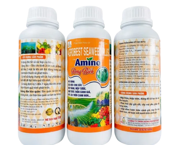 AMINO RONG BIỂN – LAGROBEST SEAWEED PLUS