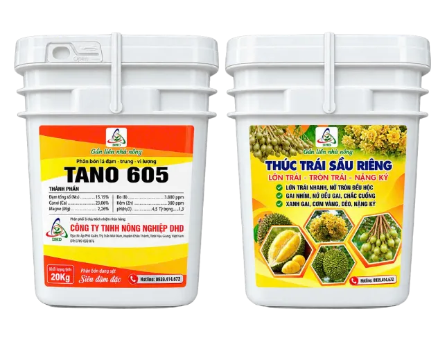 TANO 605 - THỨC TRÁI SẦU RIÊNG – LỚN TRÁI – TRÒN TRÁI – NẶNG KÝ