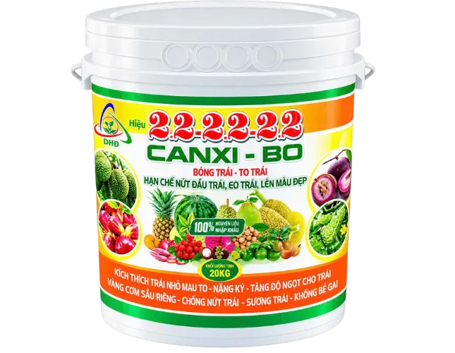 CANXI BO - Bóng trái, to trái
