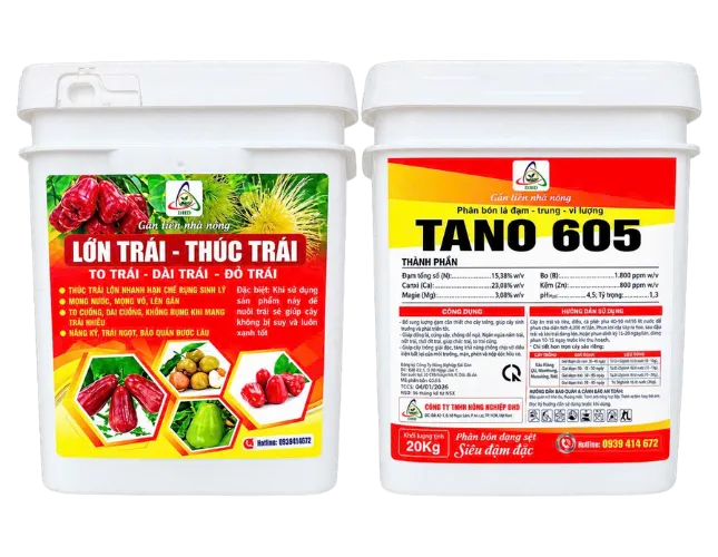  TANO 605 - LỚN TRÁI – THÚC TRÁI | TO TRÁI – DÀI TRÁI – ĐỎ TRÁI