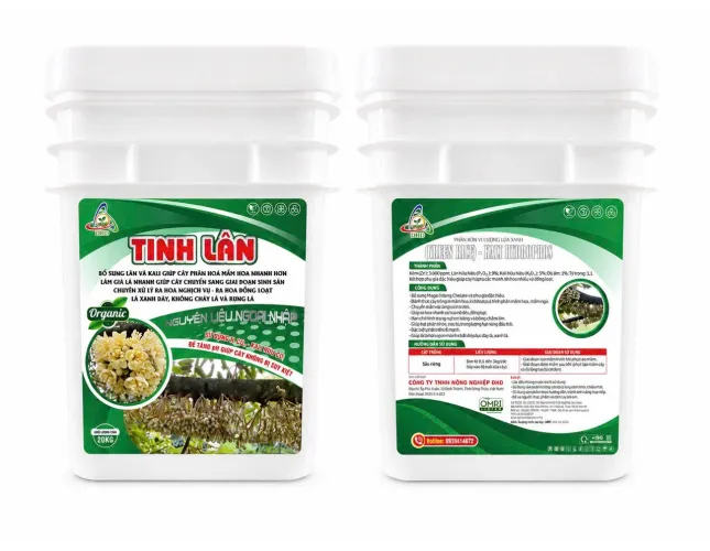 GREEN RICE – TRADE HYDROPHOS -  LÚA XANH – TINH LÂN