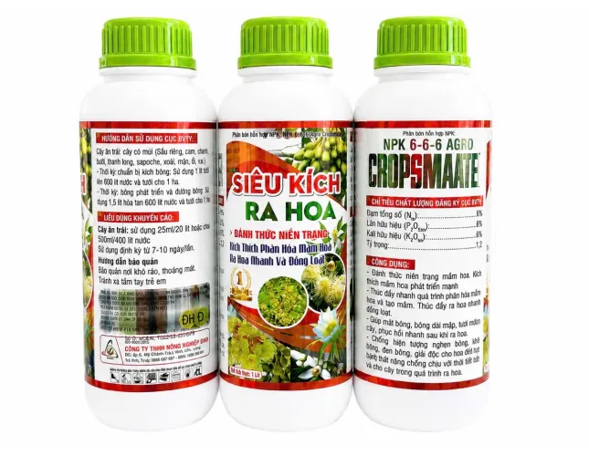 SIÊU KÍCH RA HOA – ĐÁNH THỨC NIÊN TRẠNG