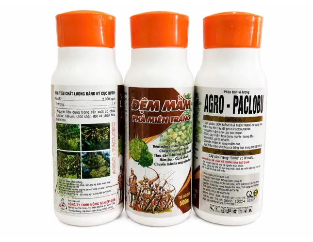 ĐỆM MẦM PHÁ MIÊN TRẠNG – AGRO-PACLOBO