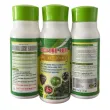  AGRORMAX LUCKY BAMBOO – SIÊU ĐẬU TRÁI