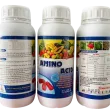 AMINO ACID 
