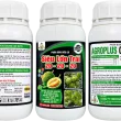 AGROPLUS ORGANIC 20-20-20