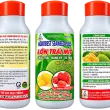 AGROBEST SEAWEED PLUS – LỚN TRÁI MÍT