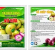 CÁ CHÉP VÀNG – VÚ SỮA
