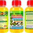 AGRO-TROBIN.AK74 GEL BO-ORGANIC – HỖ TRỢ HOA & TRÁI