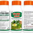  SỮA TƯỚNG TRÁI MÍT – 500ML