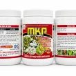  MKP – PHÂN HÓA MẦM HOA NHANH 500G