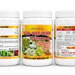  VUA TẠO MẦM 10-55-10 + Zn – 500G