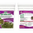 Siêu tạo mầm hoa