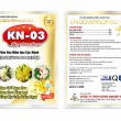 KN-03 – CHUYÊN RA HOA